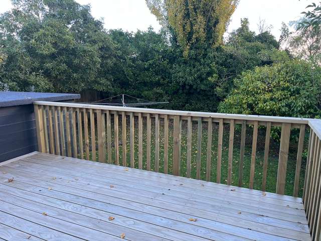 166 Vogel Street Roslyn_3