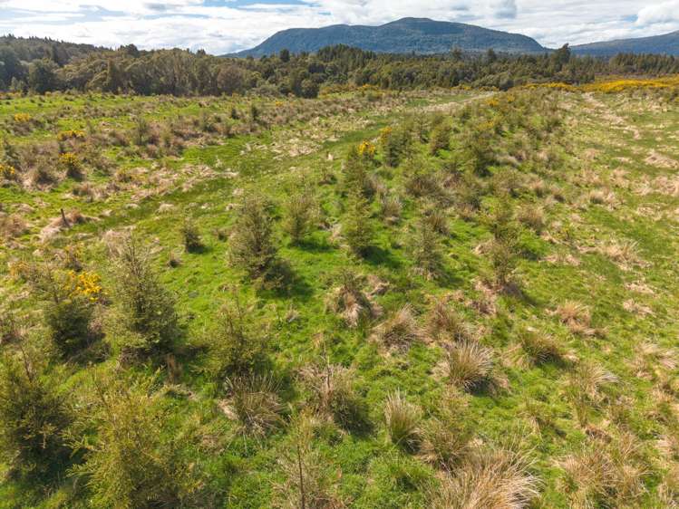 650 Lake Brunner Road Moana_29