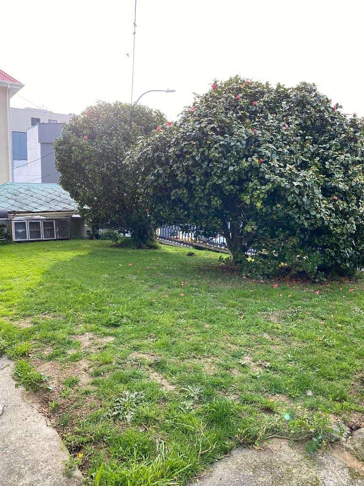 6 Levy Street Mount Victoria_19