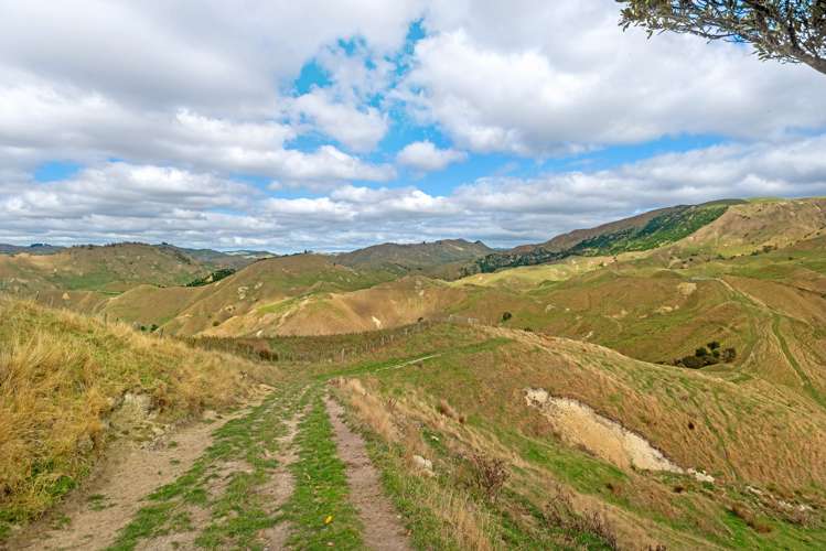 3643 Wharekopae Road Rere_12