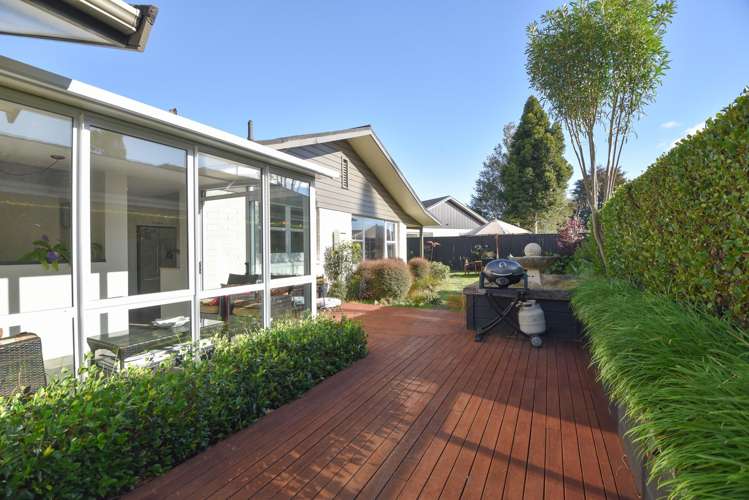 13 Springfield Road Springfield_23