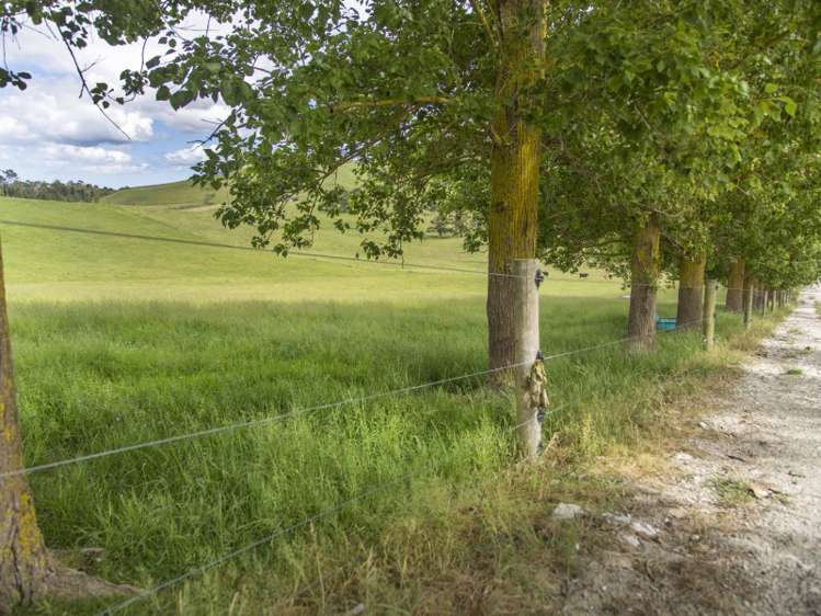 78 Morrison Road Arapohue_9