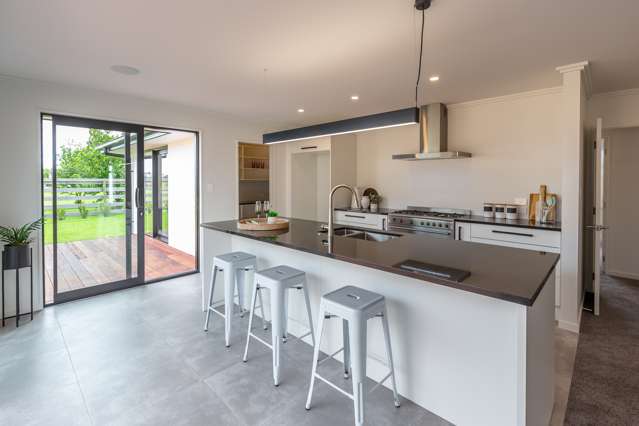 17 Merlin Terrace Rolleston_2