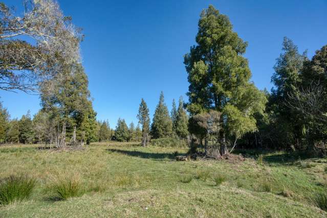 Grass is Greener in Gillams Gully