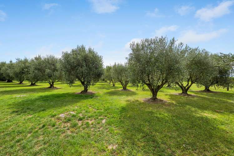 447 Wairau Bar Road Spring Creek_31