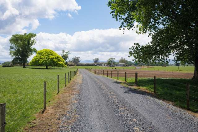 104 Pioneer Road Tahuna_2