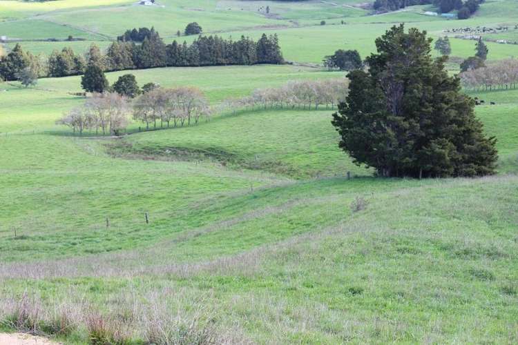 Riponui Road Ruatangata_11