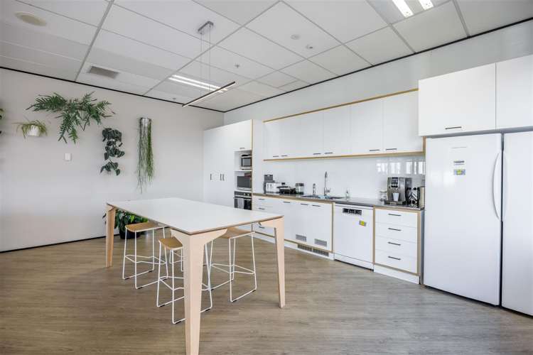 8 Nugent Street Grafton_13