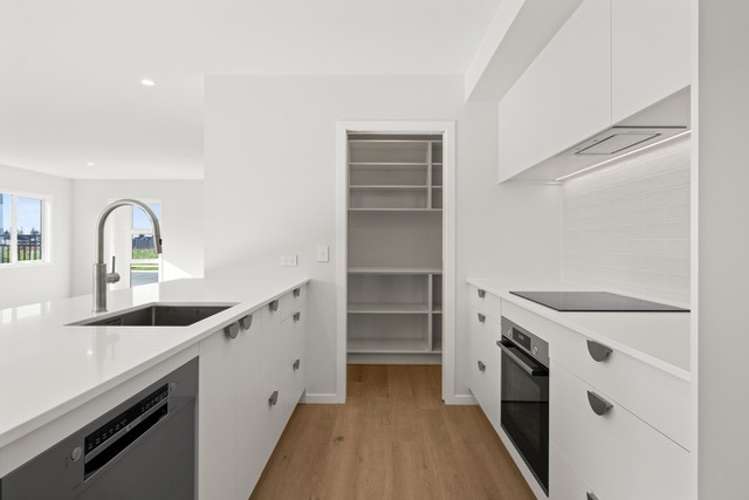 57 Wai Whatu Street 2130_2