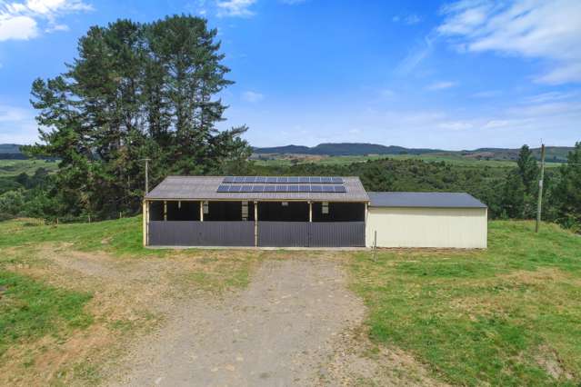 1716 Ongarue Waimiha Road Waimiha-Ongarue_2