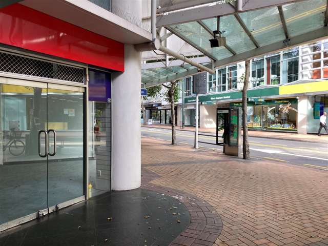 25 Manners Street Te Aro_2