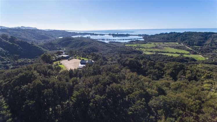 175 Parapara Valley Road Parapara_4