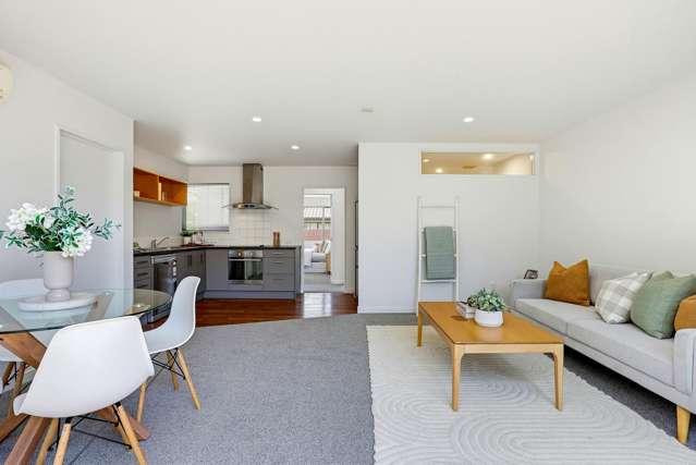 1/13 Elizabeth Street Riccarton_2