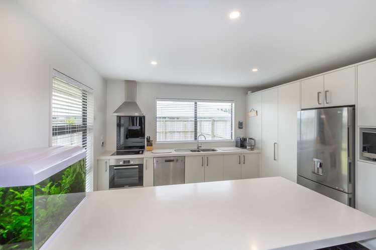 39 Clausen Avenue Leeston_6