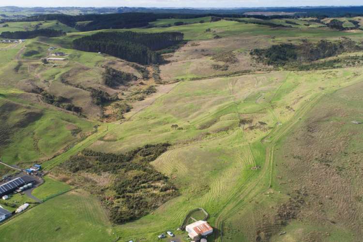 729 Peak Road Helensville_3