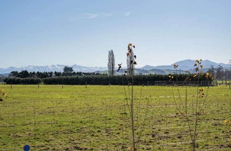 1 Opihi Road_1