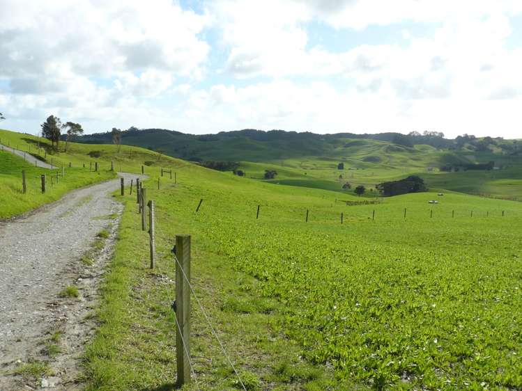 1907 Diggers Valley Road Kaitaia_13