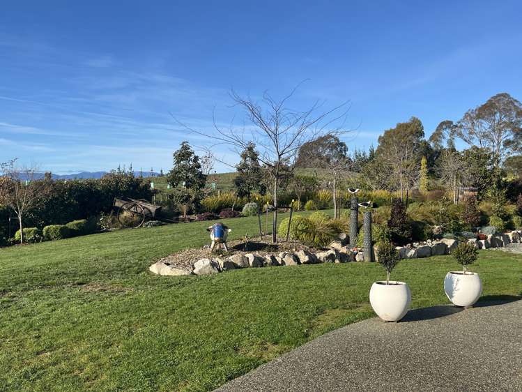 169 Dominion Road Mahana_19