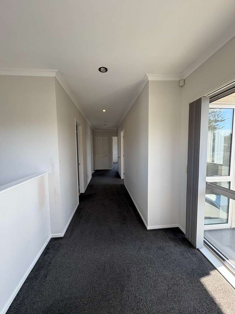 9b Arran Street Avondale_7