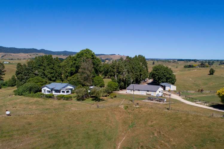 776 Kakahu Road Tapapa_7