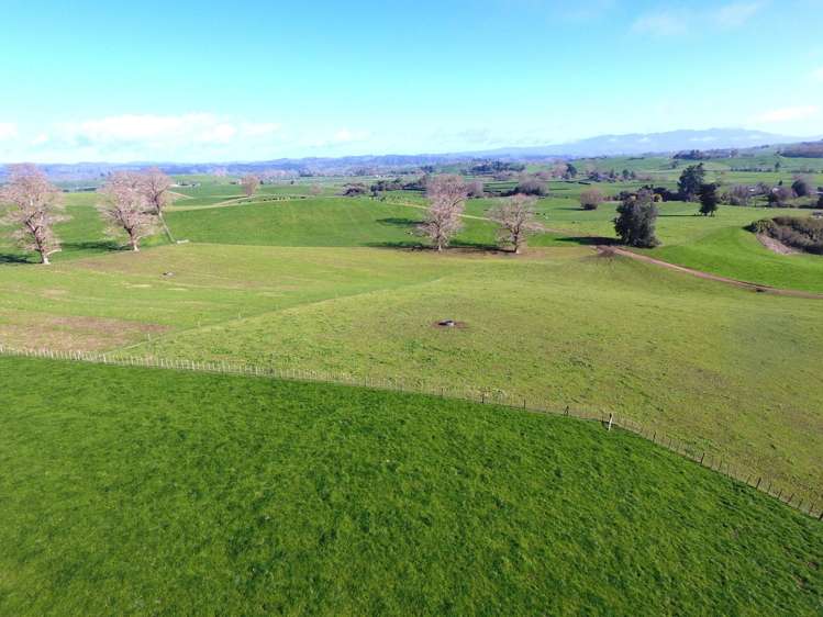233B Kio Kio Station Road Otorohanga_32