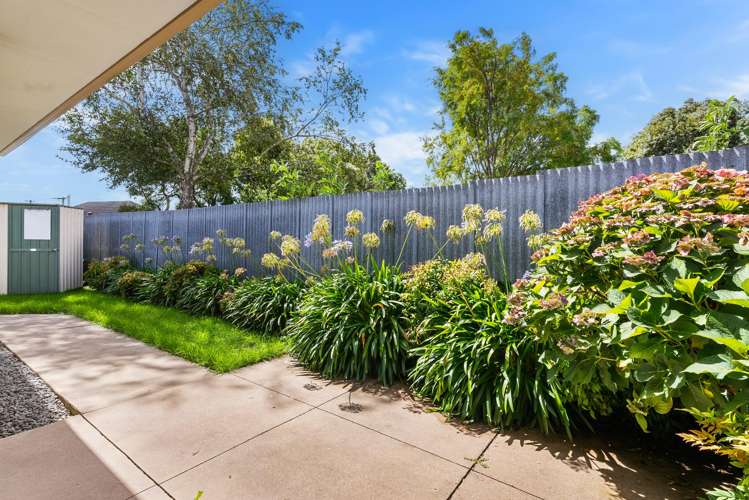 31C Morrison Avenue Northcote_7