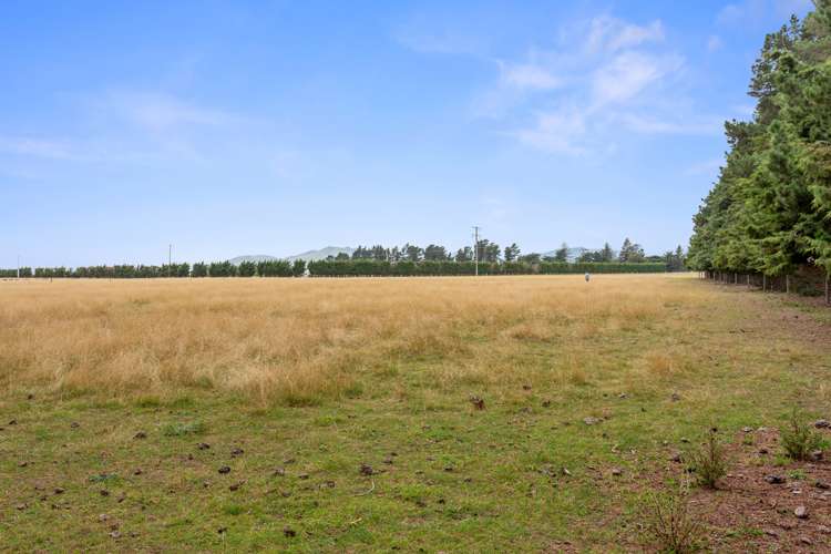 317 Innes Road Amberley_17