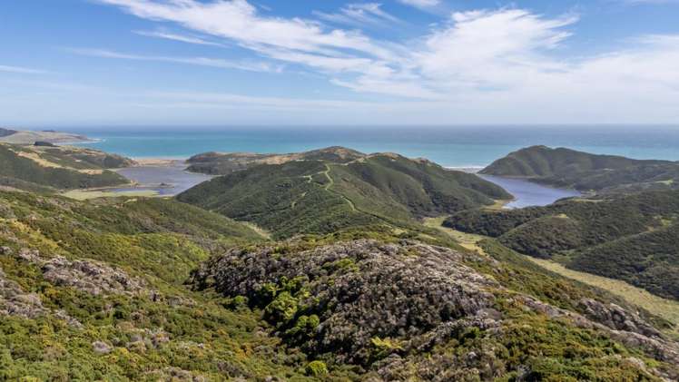 525 Muritai Road Pencarrow Head_17