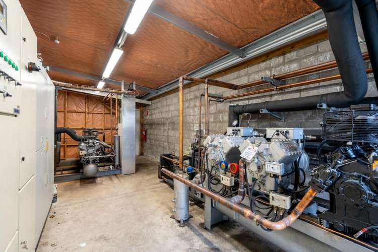 10b Maleme Street Greerton_12