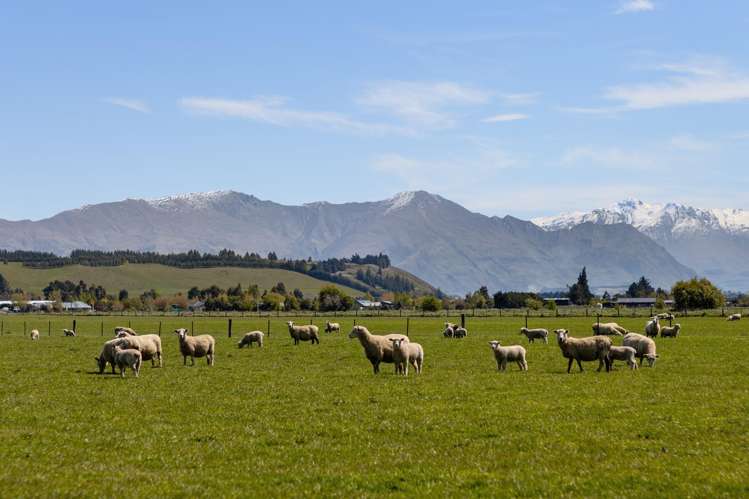 Hawea Back Road Hawea Flat_34