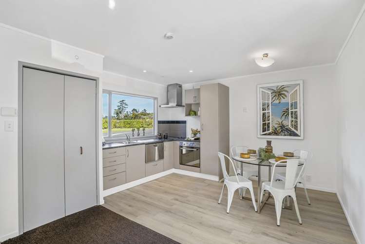 1/1 Golf Road New Lynn_10