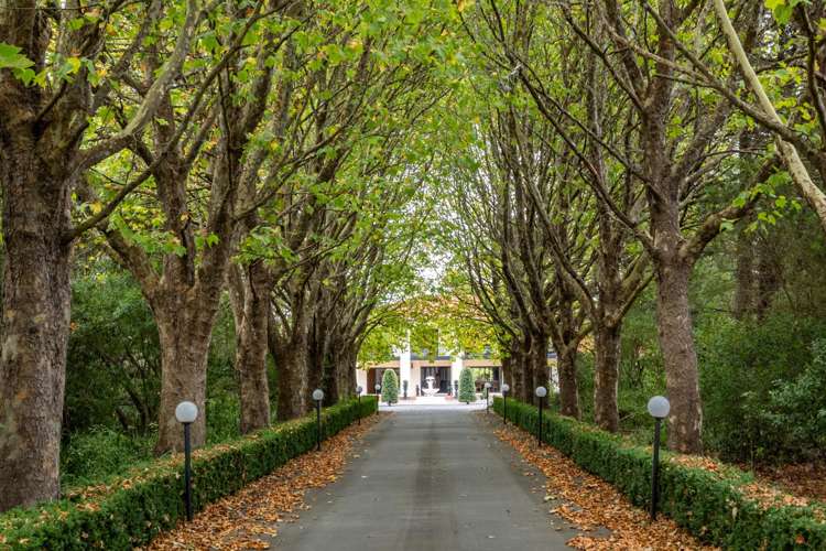 64 Parkhill Road Haumoana_25