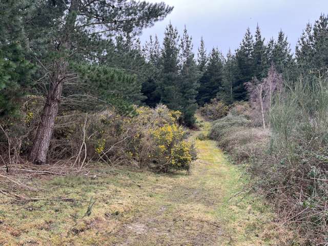 Breakneck Road Herbert_3