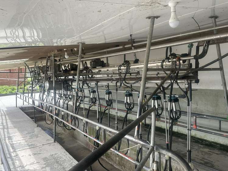 2115 Whataroa Highway Whataroa_2