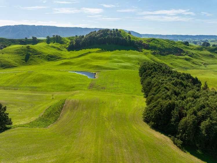 385 Whirinaki Valley Road Rotorua Surrounds_14