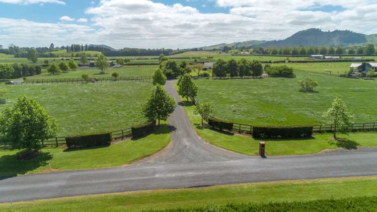 269 Bellevue Road Matangi_19