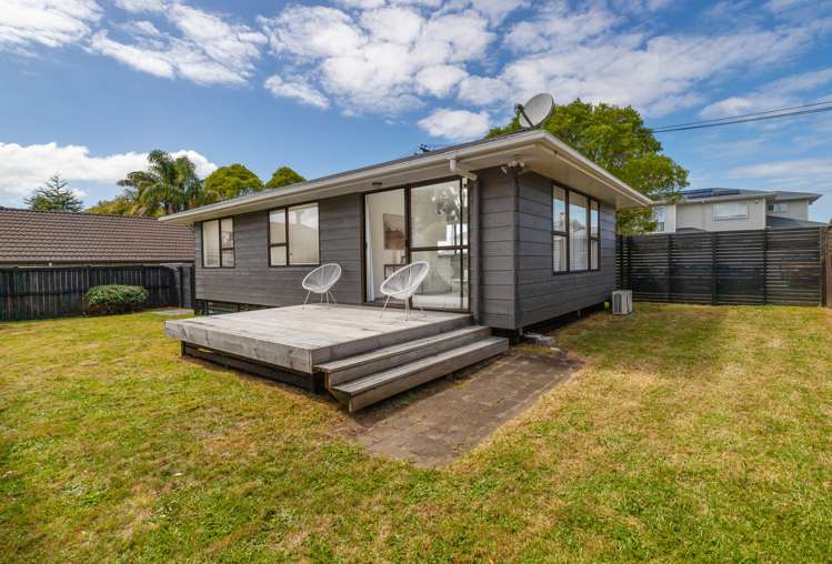 10 Wakatipu Street Point Chevalier_1