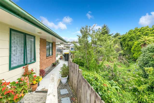 308b Bridgman Road Te Awamutu_1