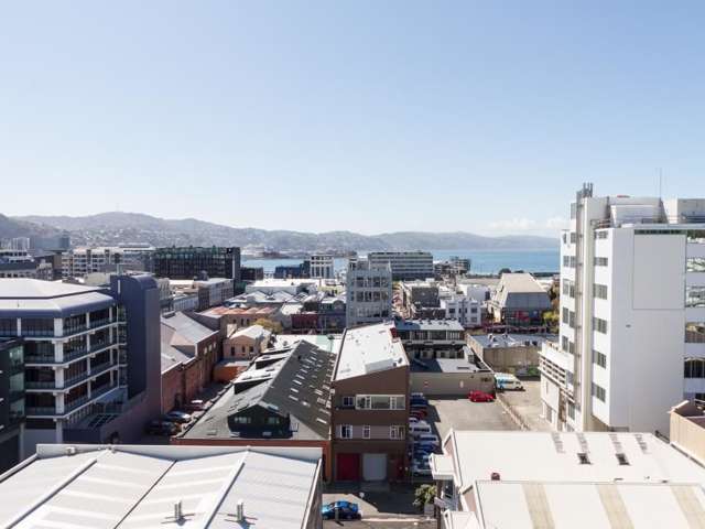 9a/11 Tennyson Street Te Aro_3