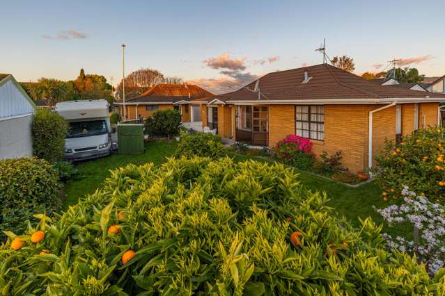 50B Highbury Drive Levin_3