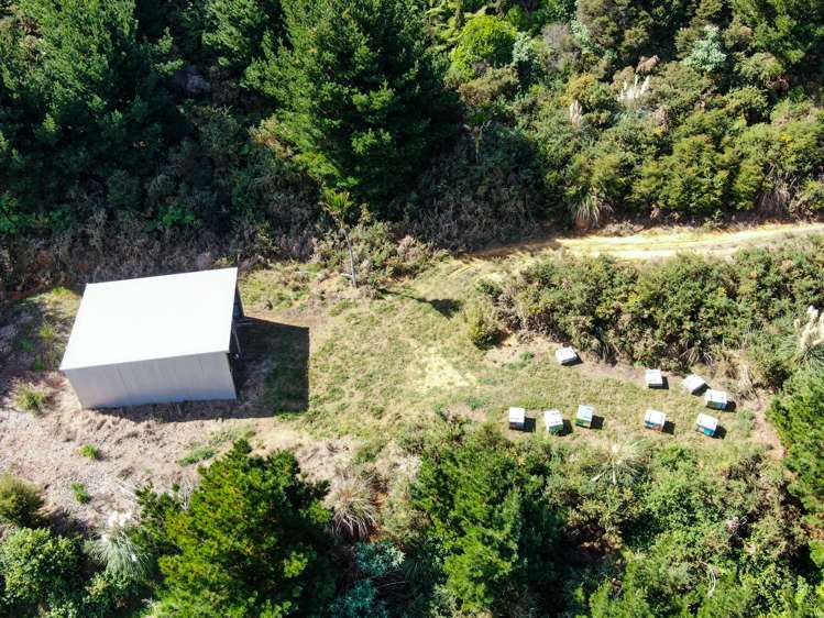 427 Bennett Road Te Mata_6