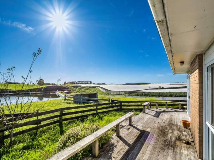 1050 Maniatutu Road Pongakawa_17