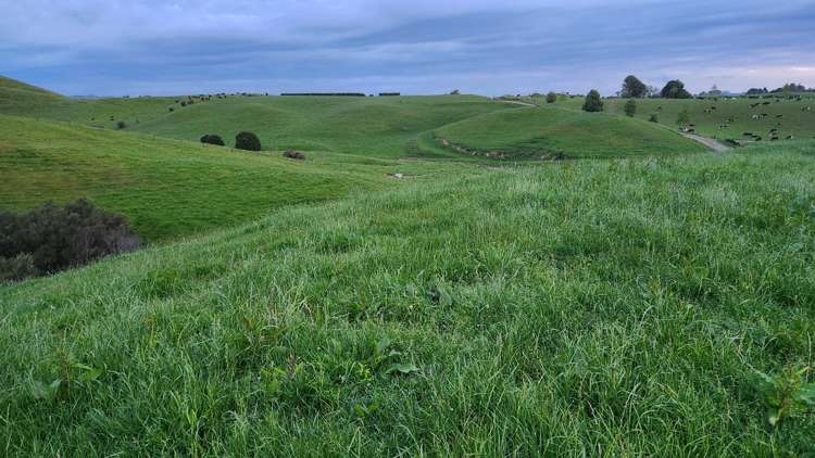 Lots 1 and 2 Kupara Road Ratapiko_6