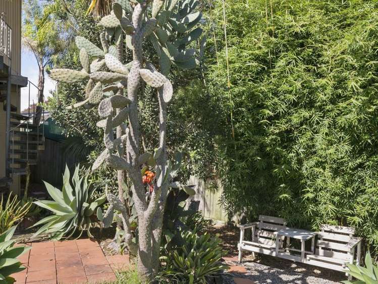 76 Paragon Avenue Beach Haven_11