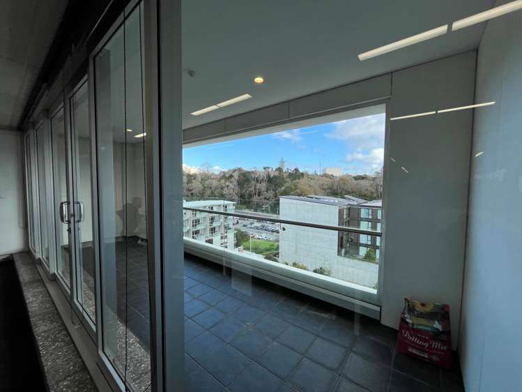 7 Falcon Street Parnell_10