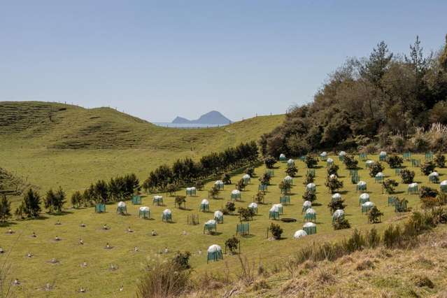 230b Withy Road Manawahe_2