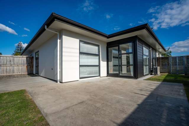 1/1 Murray Street Maeroa_2