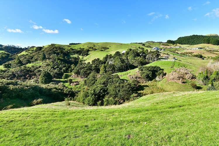 3020 Kaipara Coast Highway Glorit_22