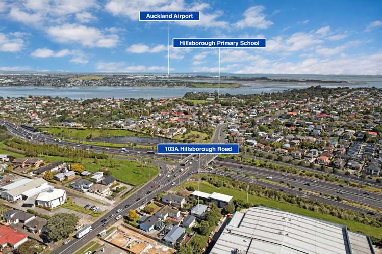 103A Hillsborough Road Hillsborough_21