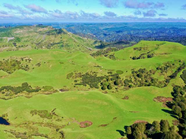 1371 Rangitatau East Road Brunswick_4